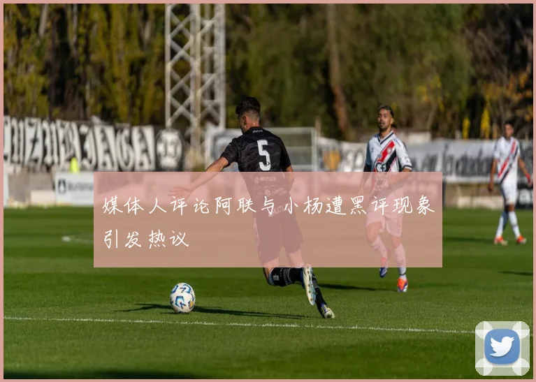 媒体人评论阿联与小杨遭黑评现象引发热议